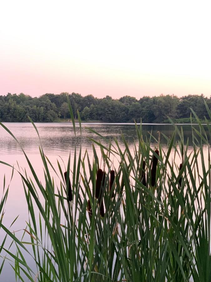 Ferienhaus Seeblick Am Harkebruegger See Mit Sauna Und Kamin Barssel  ภายนอก รูปภาพ