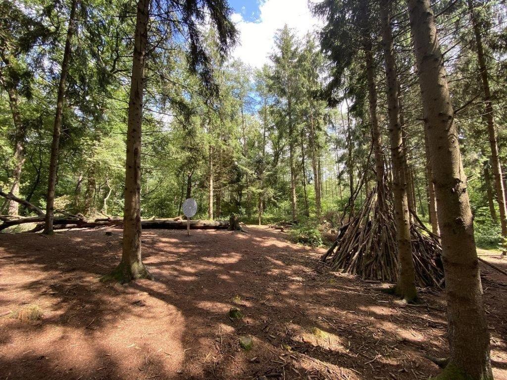 Ferienhaus Seeblick Am Harkebruegger See Mit Sauna Und Kamin Barssel  ภายนอก รูปภาพ